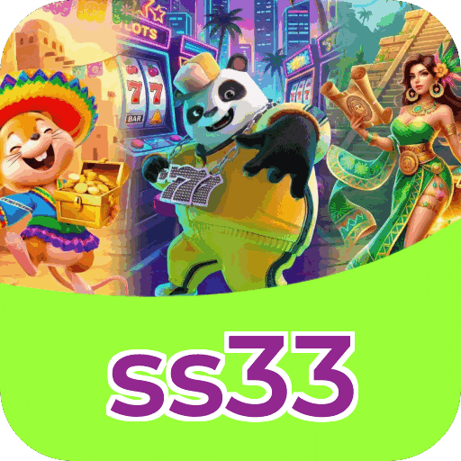 Interface ss33